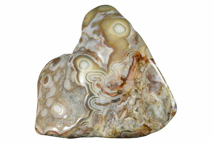 Polished Crazy Lace Agate - Mexico #180551
